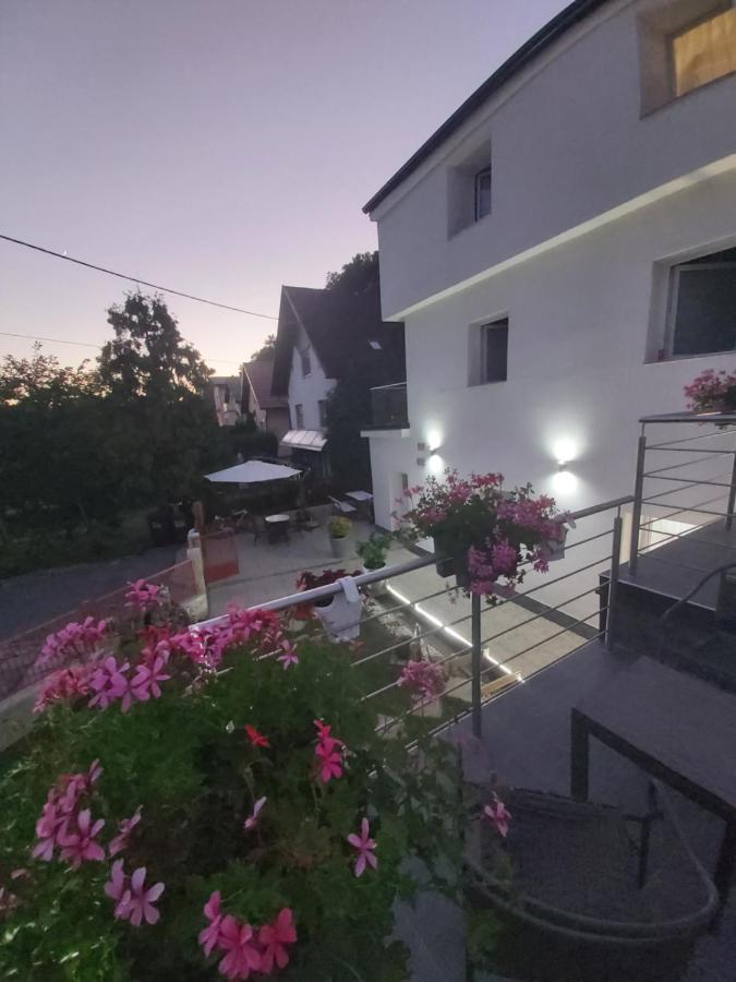 Rooms Panda Maribor Ngoại thất bức ảnh